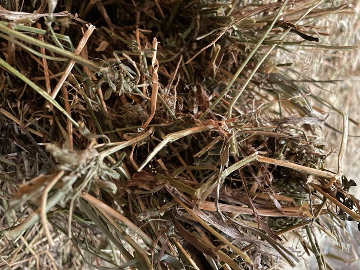 #1952-•-(10)-2026-first-crop-3-x-3-x-7-large-square-hay-bales-image-15