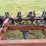 waco-16'-anhydrous-applicator-image-8