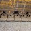 2007-caterpillar-953d-image-66