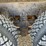 kenworth-t800b-image-51