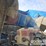 2019-freightliner-122sd-image-7