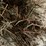 #1954-•-(10)-2026-first-crop-3-x-3-x-7-large-square-hay-bales-image-14