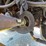 2008-hyundai-hl770xtd-7a-image-59