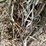 #1953-•-(10)-2026-first-crop-3-x-3-x-7-large-square-hay-bales-image-12