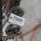 international-214-image-3