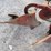 ford-plow-78895-image-3