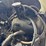 2013-kenworth-t370-image-48
