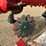 2011-vogel-&-noot-xms950-image-15