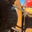 international-cub-image-9