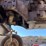 massey-ferguson-1135-image-36