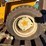 international-cub-image-12