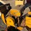 international-cub-image-8