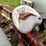 ford-tractor-image-25