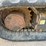 2016-caterpillar-304e2-cr-image-20