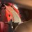 2018-elgin-broom-bear-image-43