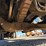 ford-l9000-image-83