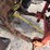 1963-john-deere-4010-image-12