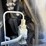 2021-jcb-3ts-8t-image-38