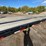 #1956-•-2023-gatormade-tuff-gooseneck-trailer-image-21