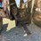 massey-ferguson-1135-image-21