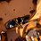 2009-kenworth-t800-image-51