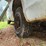 1999-ford-f350-image-33