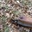 #1233-•-16'-boat-trailer-image-12
