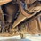2009-kenworth-t800-image-80