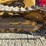 caterpillar-d3b-lgp-image-38