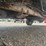 2014-ford-f150-image-94
