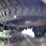 1998-ford-explorer-xlt-image-19
