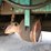 2009-peterbilt-320-image-25