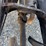 2006-international-durastar-4300-image-25