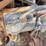 2009-kenworth-t800-image-61