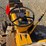 international-cub-image-10