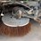 2018-elgin-broom-bear-image-18