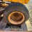 international-cub-image-14