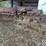 john-deere-210-image-16
