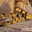 2021-caterpillar-d5-lgp-image-12