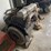 #17467-•-(2)-chevy-283-engine-cores-(arpin,-wi)-image-4