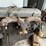 #17467-•-(2)-chevy-283-engine-cores-(arpin,-wi)-image-5