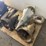 #17462-•-(3)-powerglide-2-speed-transmissions-(arpin,-wi)-image-2