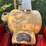 case-900-wheatland-propane-tractor-image-29