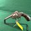 iver-johnson-safety-automatic-hammer-32-revolver-image-5