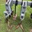 hiniker-8row-3pt-field-cultivator-image-22