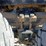 1990-peterbilt-379-image-81