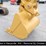 2024-caterpillar-320gc-image-3