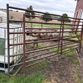 10/15-online-livestock-equipment-and-outdoor-items-auction-image-1