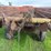 farmhand-450-image-14