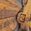 2005-caterpillar-12h-image-32